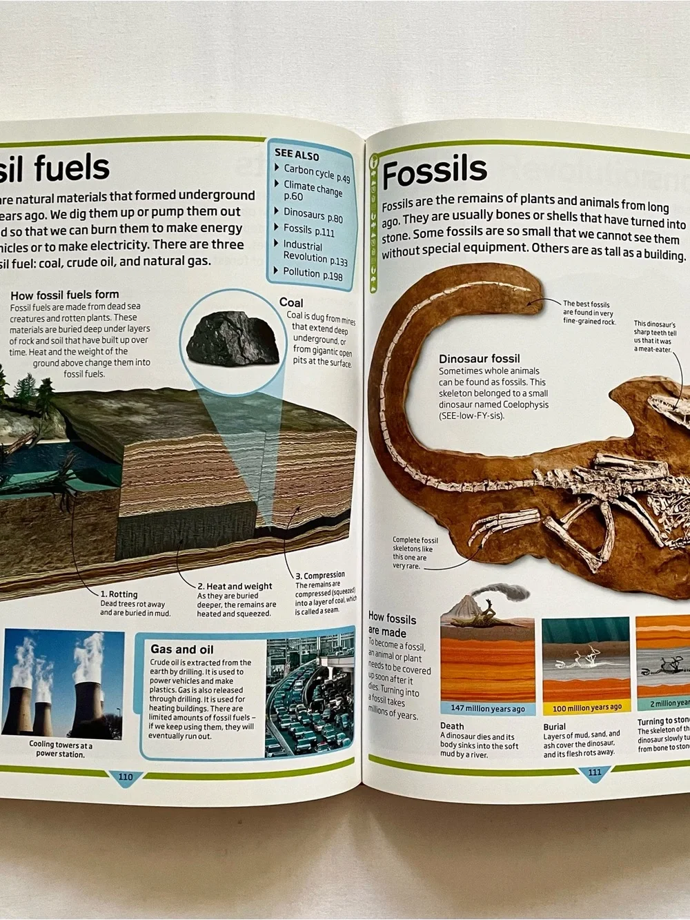 DK Children's Encyclopedia: The Book that Explains Everything - hardcover DK
